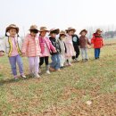 충주시, 청보리밭 걷기 행사로 국가정원 조성 염원 표출 이미지