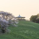 삼화목장 이미지