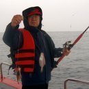 관광 꿈꾸는숲 펜션 이미지