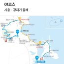 성산2교열린 공중화장실 | 제주 올레길 1코스 완주 시흥, 광치기 올레 리얼 후기