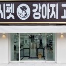 대구펫강아지분양고양이분양