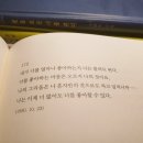 차인여자