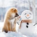 건영1차 이미지