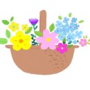민들레공작소 이미지