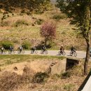 김삿갓면-21 이미지