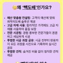 영등비사벌 이미지