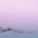 캠퍼스타운한의원 이미지