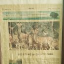 다솜목장 이미지