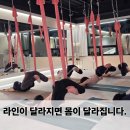 바디라인 이미지