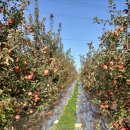 방신농장 이미지