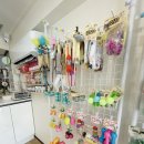 특별하개 이미지