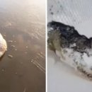위오린