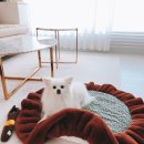 천생세탁 이미지