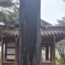 송강정 이미지