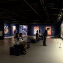 세화에서 이미지