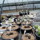 둘리 농장 이미지