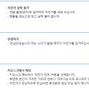 정부청사 입구(대덕대로) 이미지