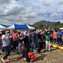 면민운동장 이미지