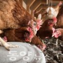 구미농장 이미지