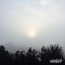 병수농장 이미지