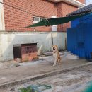 정거경로당 이미지