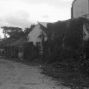 하모리-17 이미지