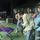 (주)보행글로벌 이미지