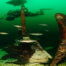 수산목장 이미지