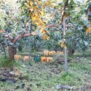 사암농장 이미지