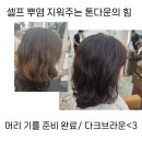 (주)르노삼성자동차서비스 분평점 | 청주 산남동미용실 추천 살롱드푸즈 윤서실장님 붉은기 톤다운 후기
