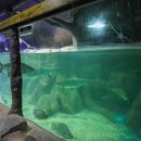 대전아쿠아리움 이미지