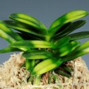 두엽농장 이미지