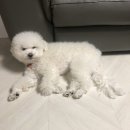 씨엔씨미앤유외과의원 네이버블로그