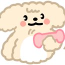 뉴본의원 이미지