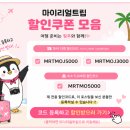펀하모니카(10월) | 오키나와 스노클링 투어 케라마제도 추천 실제 다녀온 후기
