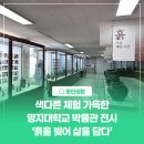 명지대학교박물관 | [용인생활] 색다른 체험 가득한 용인 명지대학교 박물관 전시 '흙을 빚어 삶을 담다'