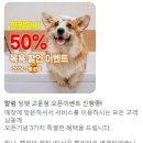 딩펫 펫살롱 고운점 이미지