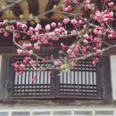 매화농업협동조합 이미지