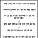 만성종합철물 | 비육돈에서 화농성 척추골수염 원인 및 관리 방안