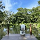 퍼피가든 이미지