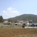 대야미역 이미지