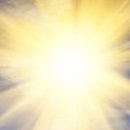 이성미베스트의원 이미지