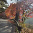 더밸리펜션민박 이미지