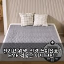 한일세탁소 | 곰표한일 탄소매트, EMF 걱정 없이 물세탁 꿀잠 숙면템!