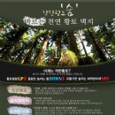 대덕피앤피 이미지