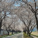 구량차리로 네이버블로그