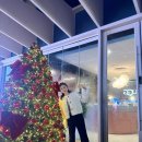 송가인 카카오 검색결과