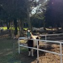 기선목장 이미지