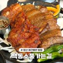 백동 | 양산 백동 애견동반 식당 “백동소풍가는길” 내돈내산 솔직후기