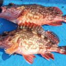 해성식당 이미지